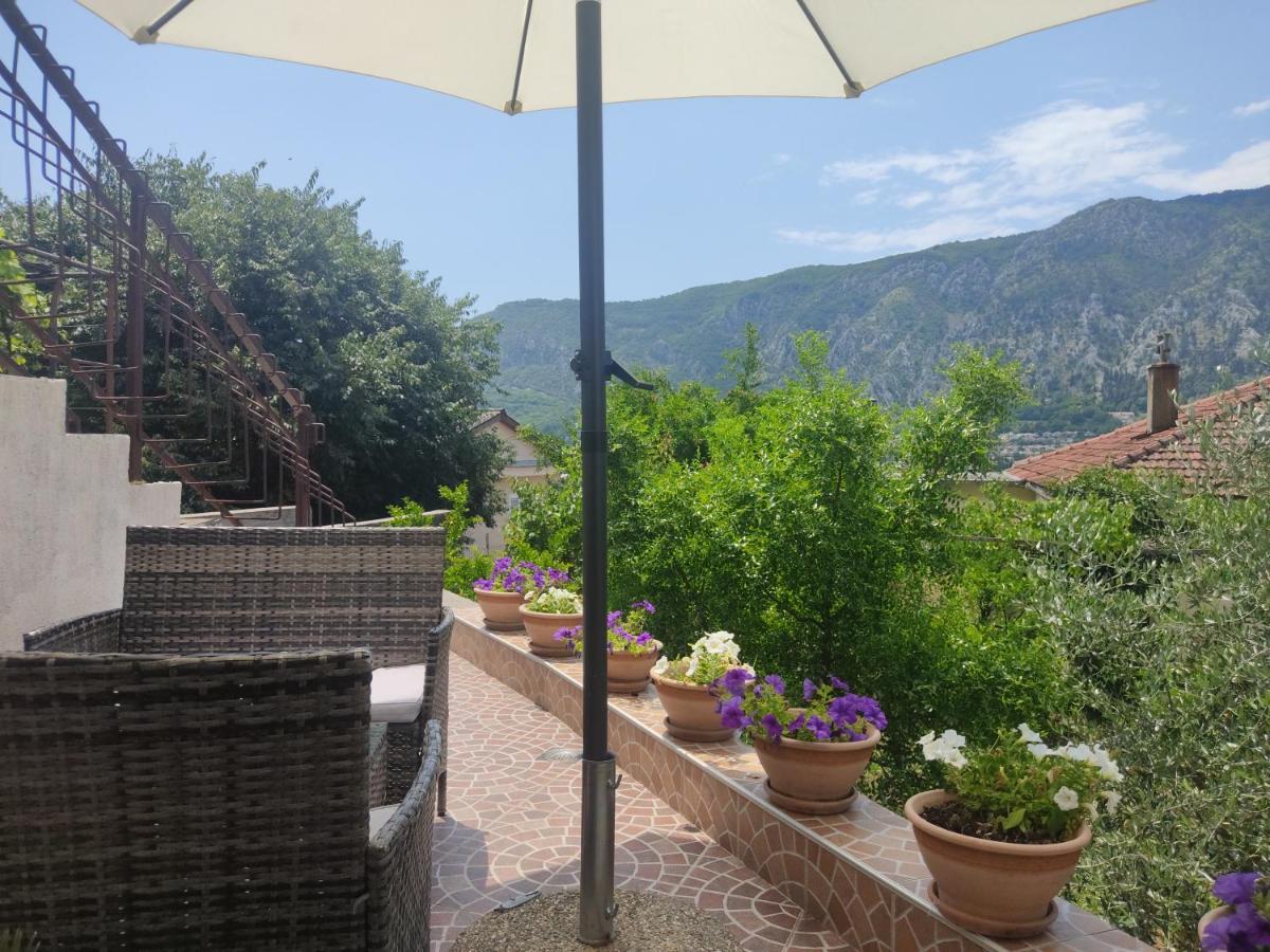 Apartments Feniks Κότορ Εξωτερικό φωτογραφία